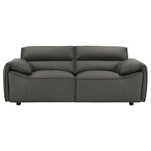 Buxton Top Grain Leather Upholstered Loveseat - Graphite by Coaster