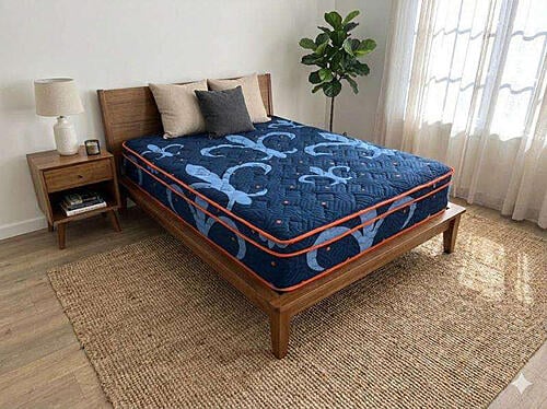 Eclipse Firm Single Sided Euro Top Mattress by Dream Well