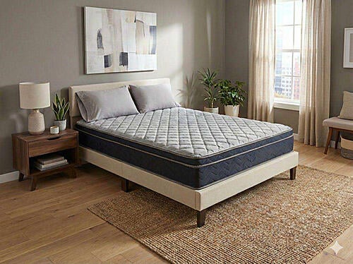 Great Deal Single Sided Euro Top Mattress by Dream Well