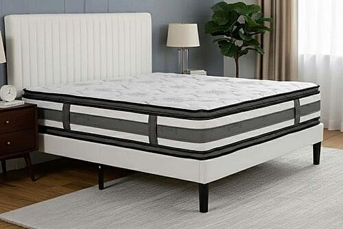 7250 Double Sided Pillow Top Mattress by Dream Well