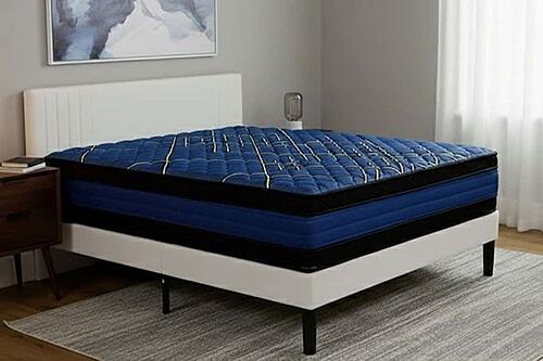 Blue Steel Double Sided Euro Top Mattress by Dream Well