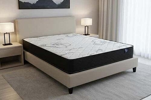 01 Single Sided Tight Top Mattress by Dream Well
