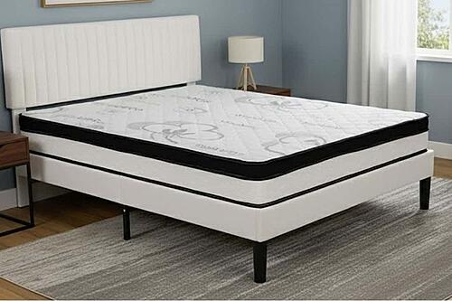 022 Single Sided Euro Top Mattress by Dream Well