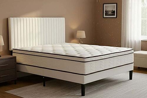 Pearl Velvet Single Sided Euro Top Mattress by Dream Well