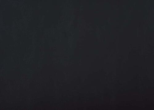 Allura Mirror, LED Lighting - Black by Homelegance