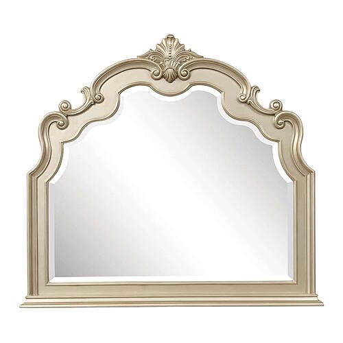 Antoinetta Mirror - Bronze by Homelegance