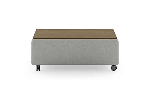 Functional Coffee Table Rene 01 by Luonto Furniture