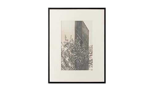 Retreat 2 Framed Print by Moe's Home Collection
