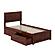 Canyon Twin XL Platform Bed w/Matching Footboard & Set of 2 Storage Drawers by Atlantic