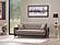 Tuxedo Brown Sofa Bed by Casamode
