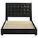 Medley Genuine Leather Queen Panel Platform Bed - Black by Coaster