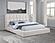 Dreux Upholstered California King Panel Platform Bed - Cream by Coaster