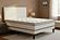 Pearl Velvet Single Sided Euro Top Mattress by Dream Well