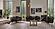 Lima Chair - Black by Furnia Furniture