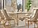 Zen Dining Chair - Beige by Furnia Furniture