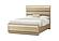 Genesis Gold Queen Bed w/LED by Global Furniture
