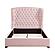 Cameo Queen Bed - Pink by Homelegance