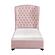 Cameo Twin Bed - Pink by Homelegance