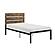 Marshall Twin Platform Bed - Brown & Black by Homelegance
