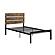 Marshall Twin Platform Bed - Brown & Black by Homelegance