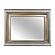 Tamsin Mirror, LED Lighting - Silver by Homelegance
