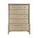 Cotterill Chest - Beige by Homelegance