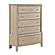 Cotterill Chest - Beige by Homelegance