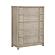 McKewen Chest - Light Gray by Homelegance
