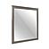 Waldorf Mirror - Dark Gray by Homelegance