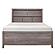 Woodrow Queen Platform Bed - Brownish Gray by Homelegance