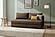 Lari Sofa Bed Sleeper (Queen Size) Brown by Prestige Furnishings