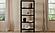 Nolan Bookcase - Black by Moe's Home Collection