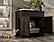 Ziva 2-Door Cat Litter Box Enclosure by Palace Imports