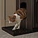 Ziva Cat Litter Catch by Palace Imports