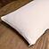 Organic Shredded Latex 2-in-1 Pillow by Naturepedic