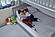 Dream Easy Kids Mattress by Naturepedic