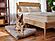 Organic Pet Bed with Washable Waterproof Cover by Naturepedic