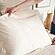 Sham 400TC Sateen by Naturepedic