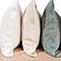 Organic Cotton Waffle Sham Set (2 Pieces) by Naturepedic