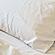 Pillowcase 300TC Percale by Naturepedic