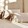 Organic Supima Cotton Pillowcase - Undyed - King by Naturepedic