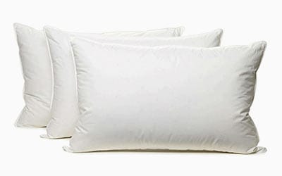 Bed Pillows
